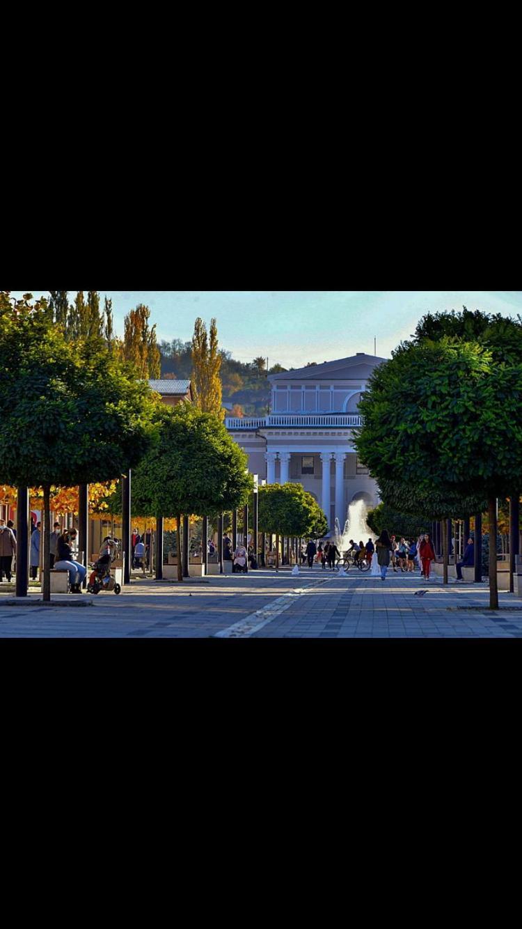 Apartmán Refugiul Castelului Hunedoara Exteriér fotografie
